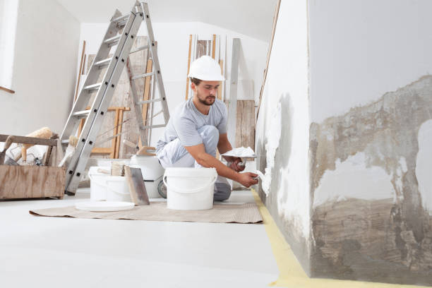 Trusted West Chicago, IL Dry wall and painting Experts